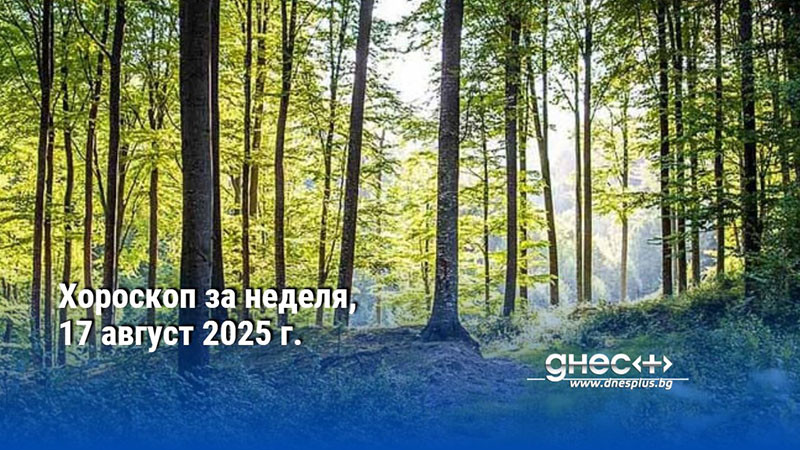 Хороскоп за неделя, 17 август 2025 г.