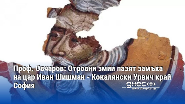 Проф. Овчаров: Отровни змии пазят замъка на цар Иван Шишман - Кокалянски Урвич край София