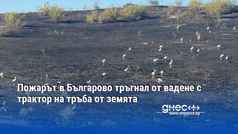 Пожарът в Българово тръгнал от вадене с трактор на тръба от земята