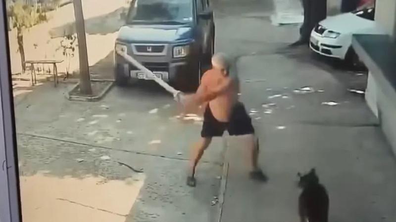 Изверг нападна сляпо куче в Казанлък