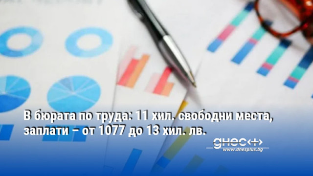 В бюрата по труда: 11 хил. свободни места, заплати – от 1077 до 13 хил. лв.