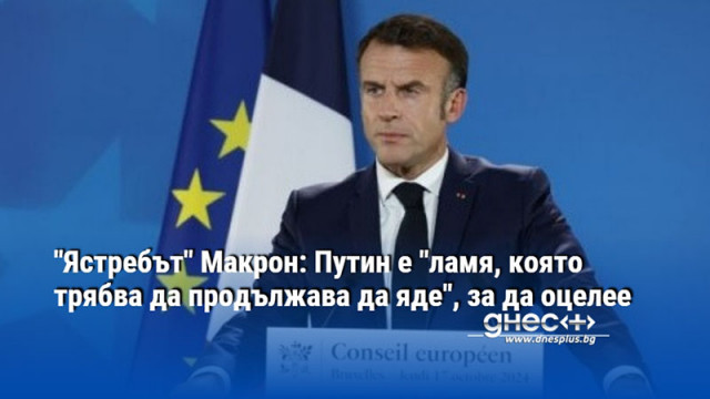 "Ястребът" Макрон: Путин е "ламя, която трябва да продължава да яде", за да оцелее