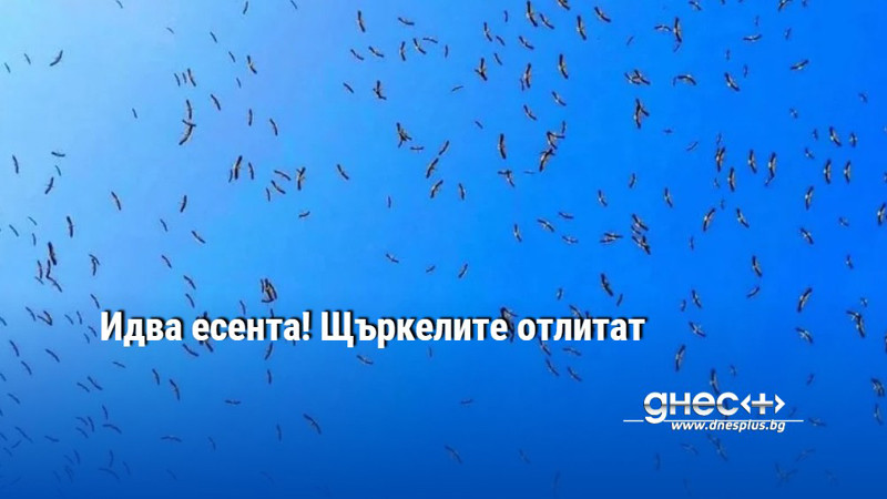 Идва есента! Щъркелите отлитат