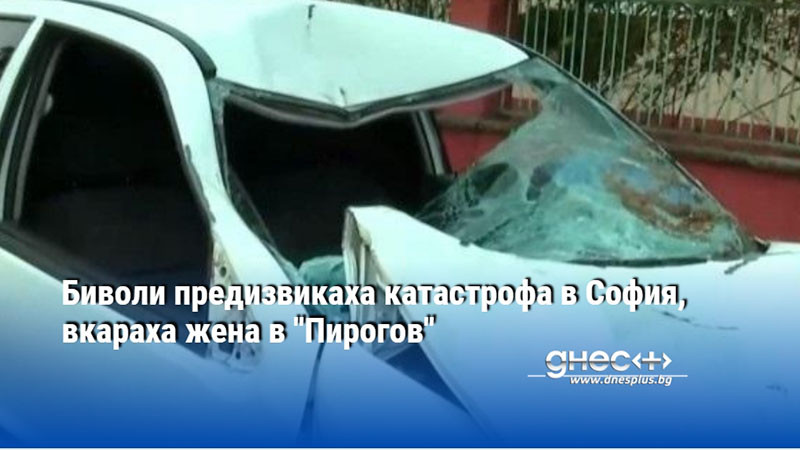 Биволи предизвикаха катастрофа в София, вкараха жена в "Пирогов"