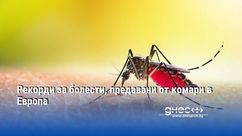 Рекорди за болести, предавани от комари в Европа