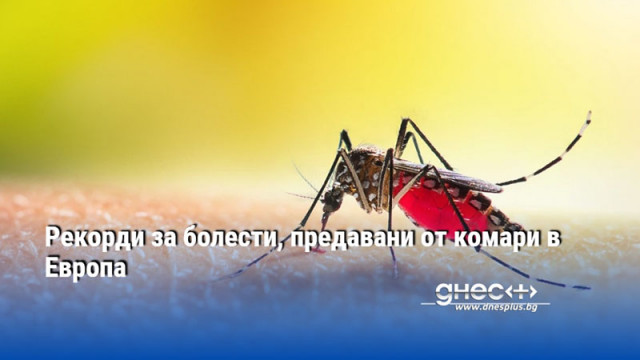 Рекорди за болести, предавани от комари в Европа