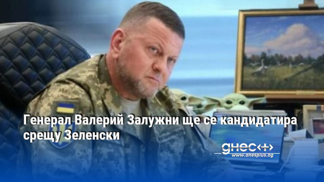 Генерал Валерий Залужни ще се кандидатира срещу Зеленски