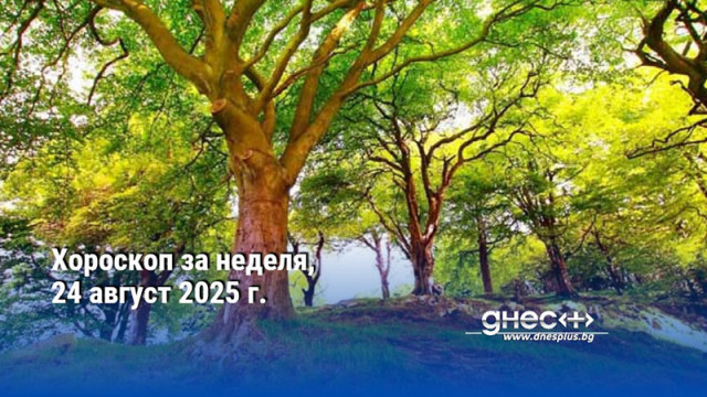 Хороскоп за неделя, 24 август 2025 г.