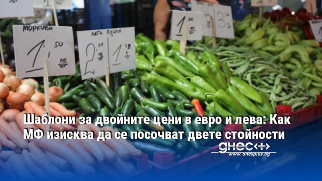 Шаблони за двойните цени в евро и лева: Как МФ изисква да се посочват двете стойности
