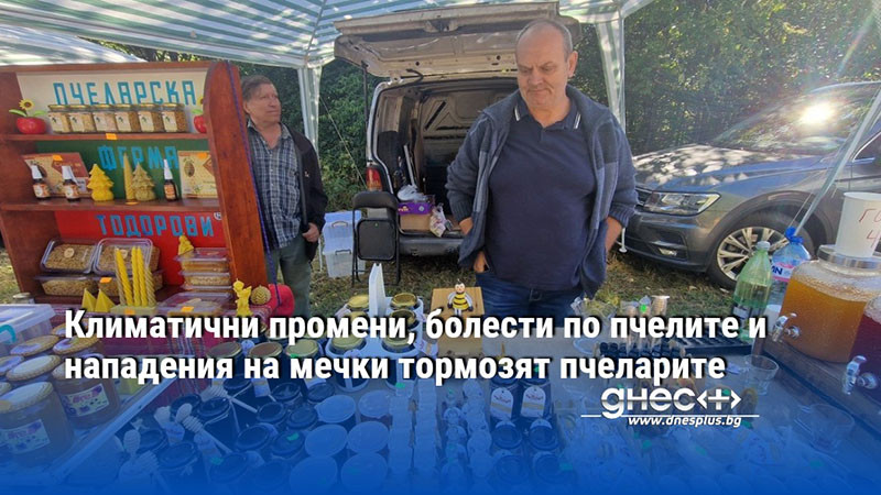 Климатични промени, болести по пчелите и нападения на мечки тормозят пчеларите
