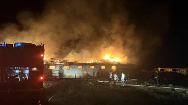 Голям пожар изпепели ферма в Кънчево, загинаха над 15 крави