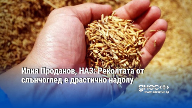 Не вярвам да се стигне до война като преди 2