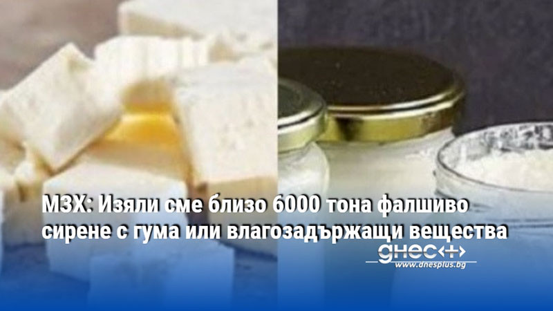 МЗХ: Изяли сме близо 6000 тона фалшиво сирене с гума или влагозадържащи вещества