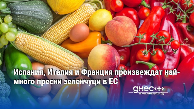 Испания, Италия и Франция произвеждат най-много пресни зеленчуци в ЕС