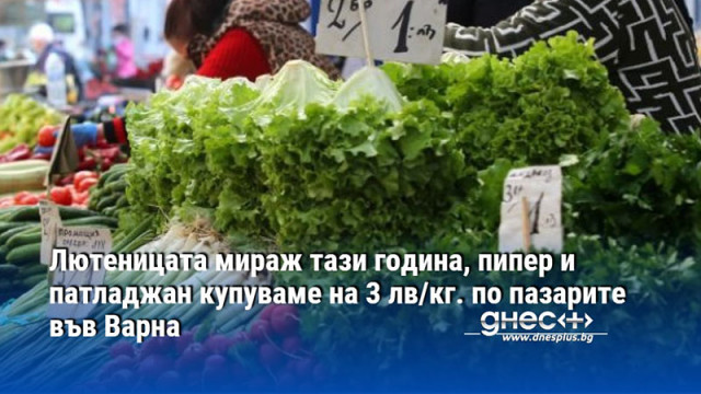 Лютеницата мираж тази година, пипер и патладжан купуваме на 3 лв/кг. по пазарите във Варна