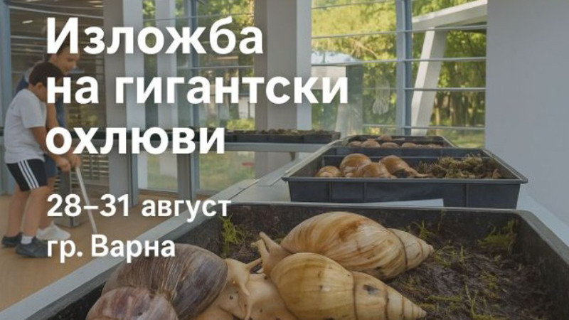 Изложба на гигантски африкански охлюви гостува във Варна