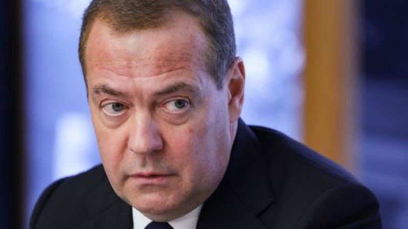 Медведев: Когато клинични русофоби като Украйна и Полша се карат, това е добре