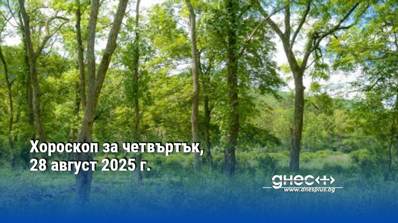Хороскоп за четвъртък, 28 август 2025 г.