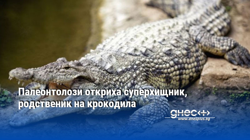 Палеонтолози откриха суперхищник, родственик на крокодила