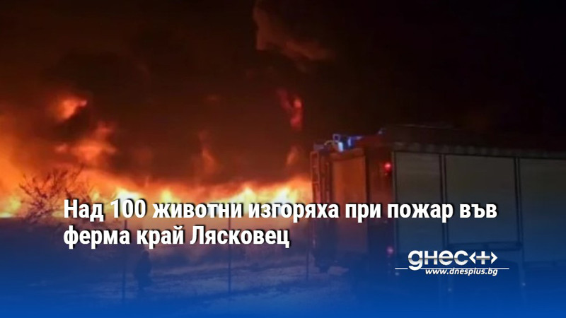 Над 100 животни изгоряха при пожар във ферма край Лясковец