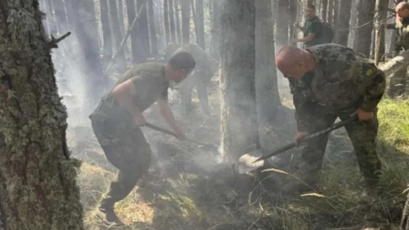 Хеликоптер „Кугар“ се включва в гасенето на пожара в Рила