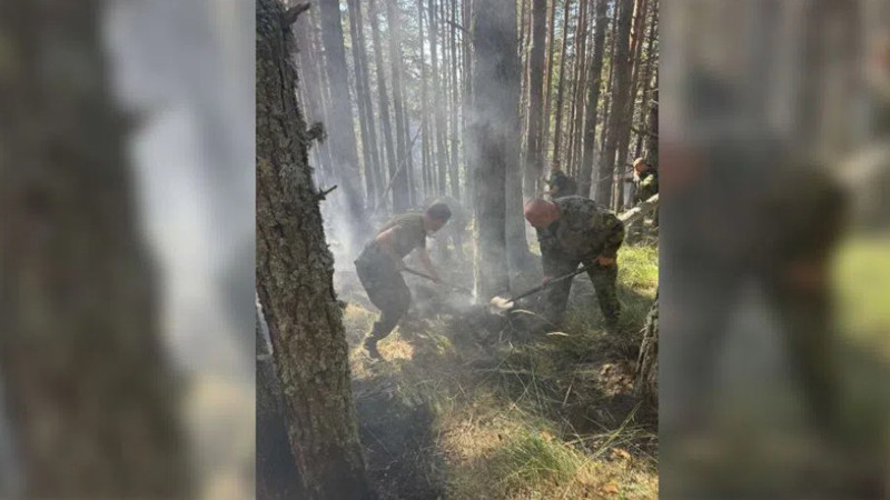 Военнослужещи от Сухопътните войски и днес се включиха в гасенето на пожара в Рила
