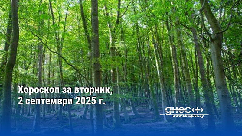 Хороскоп за вторник, 2 септември 2025 г.