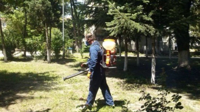 Продължават обработките срещу вредители във Варна