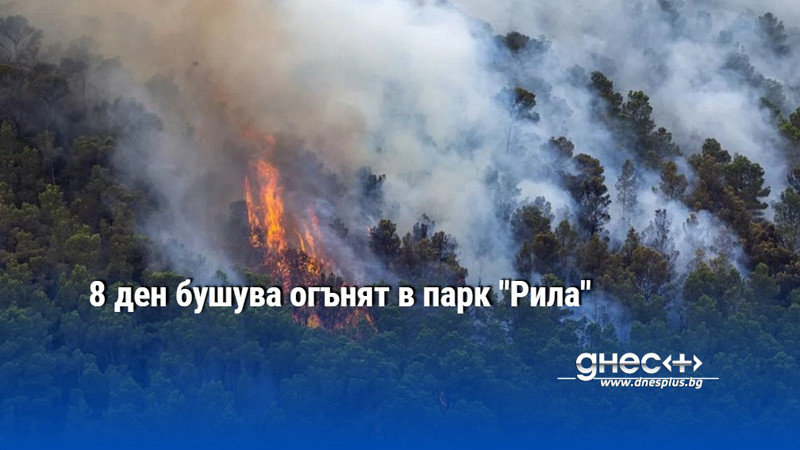 8 ден бушува огънят в парк "Рила"