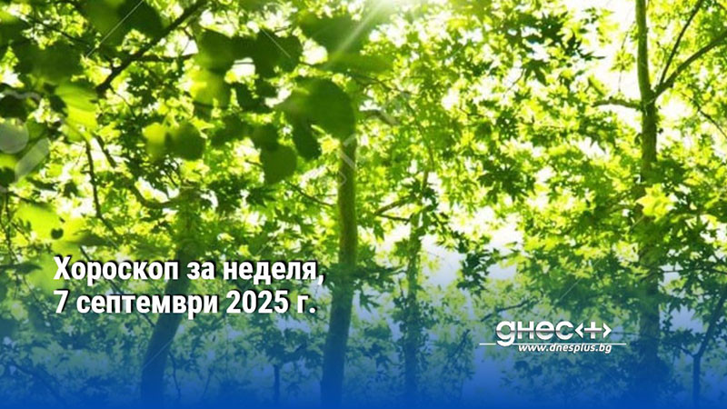Хороскоп за неделя, 7 септември 2025 г.