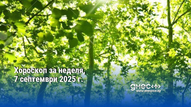 Хороскоп за неделя, 7 септември 2025 г.