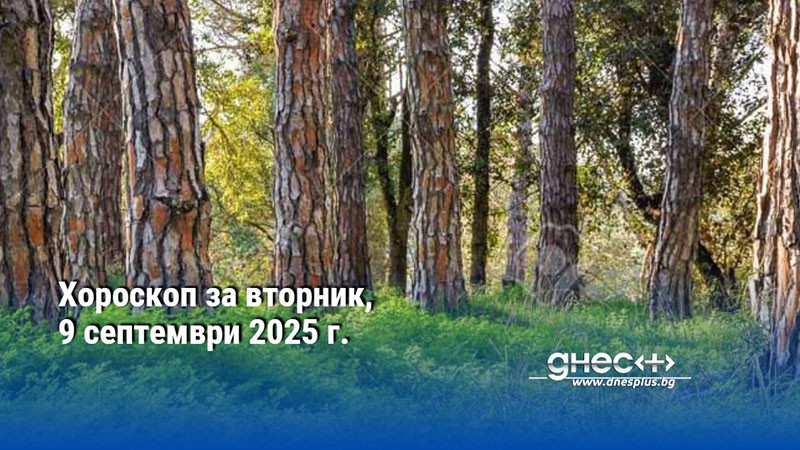 Хороскоп за вторник, 9 септември 2025 г.