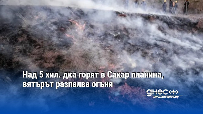 Над 5 хил. дка горят в Сакар планина, вятърът разпалва огъня