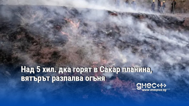 Над 5 хил. дка горят в Сакар планина, вятърът разпалва огъня