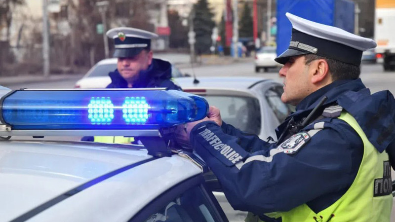 21-годишен катастрофира в стадо крави