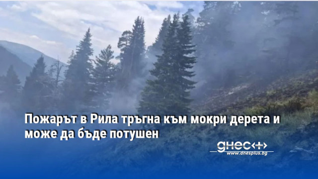 Пожарът в Рила тръгна към мокри дерета и може да бъде потушен