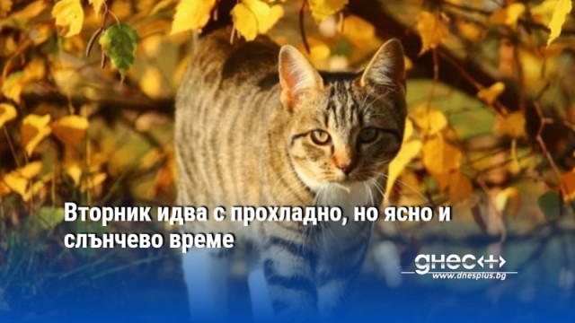 Вторник идва с прохладно, но ясно и слънчево време