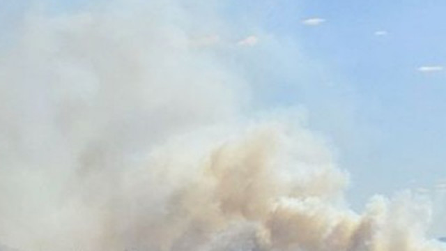 Варна осъмна в задушлива миризма