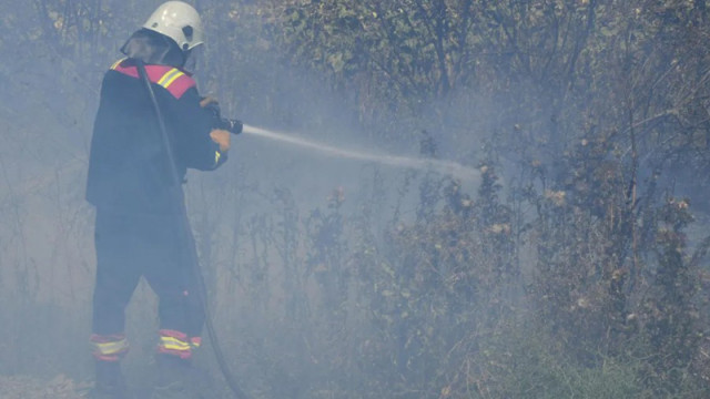 Разраства се пожарът край асеновградското село Горнослав