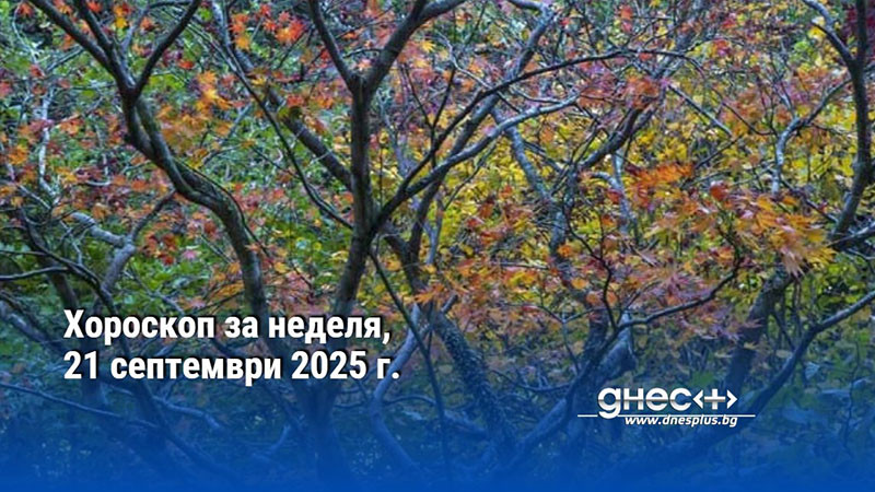 Хороскоп за неделя, 21 септември 2025 г.