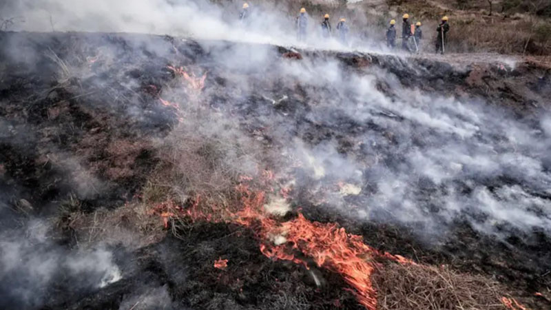 Пожар гори край село Ракита до Сливница