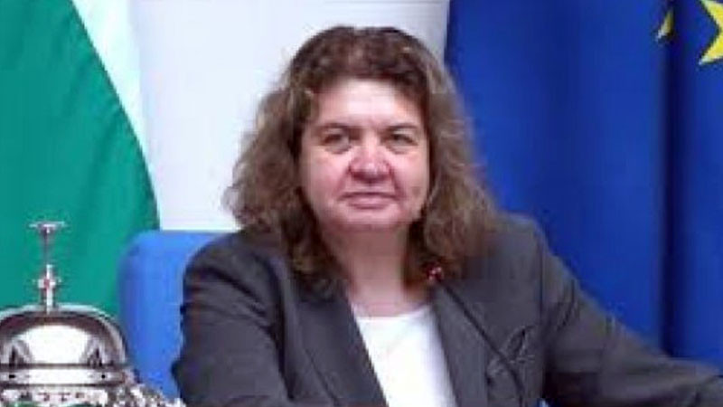 Наталия Киселова: Пеевски иска да привлича внимание, защото е лидер на партия, коалицията е стабилна