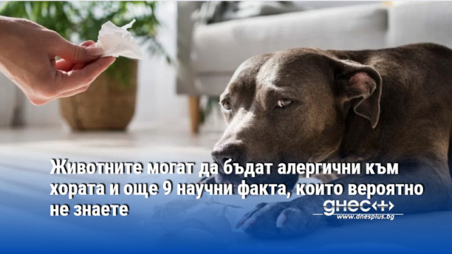 Животните могат да бъдат алергични към хората и още 9 научни факта, които вероятно не знаете