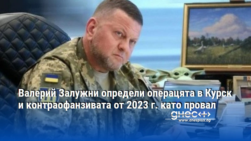 Валерий Залужни определи операцята в Курск и контраофанзивата от 2023 г. като провал
