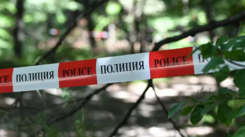 Прокуратурата внесе искане за задържане под стража на обвиняемия за убийството край Смолян