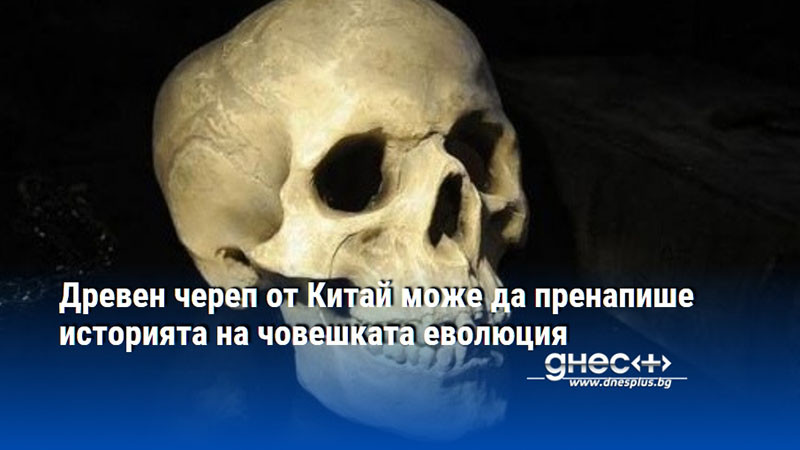 Древен череп от Китай може да пренапише историята на човешката еволюция