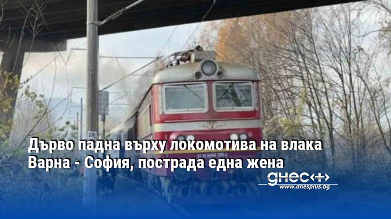 Дърво падна върху локомотива на влака Варна - София, пострада една жена