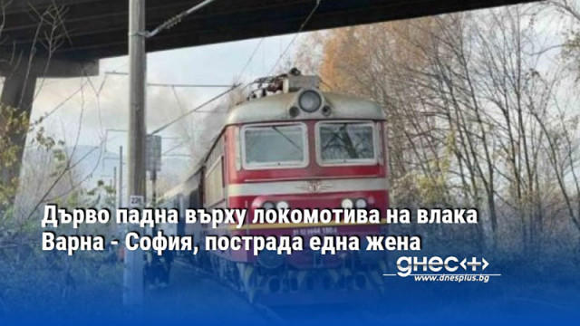 Дърво падна върху локомотива на влака Варна - София, пострада една жена
