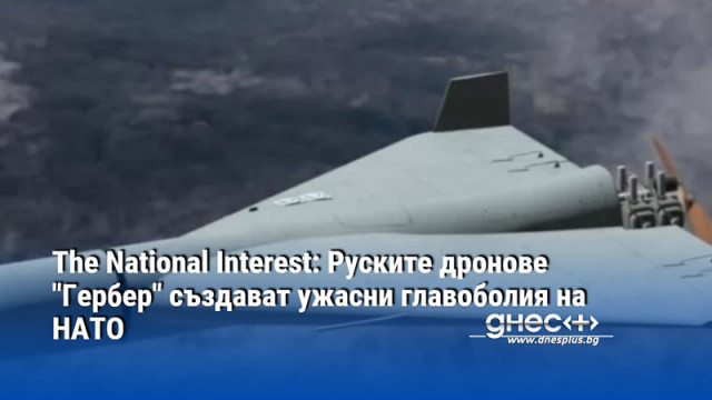 The National Interest: Руските дронове "Гербер" създават ужасни главоболия на НАТО