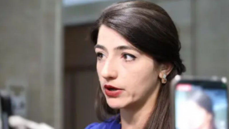 Лена Бориславова, пропуснала форума на ПП: Бях на обучение с вдъхновяващи политици от АЛДЕ